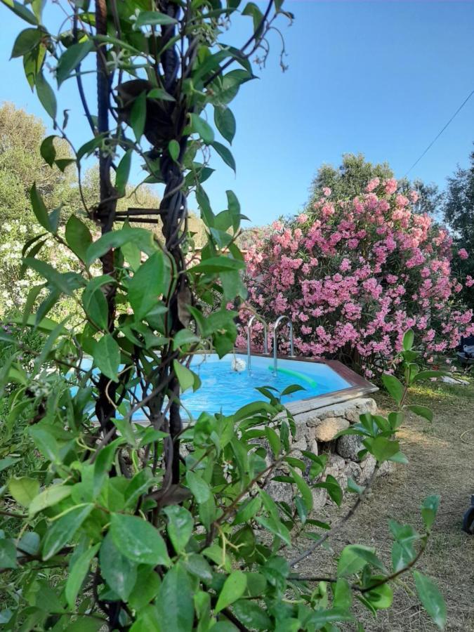 Apartamento Giuseppina *